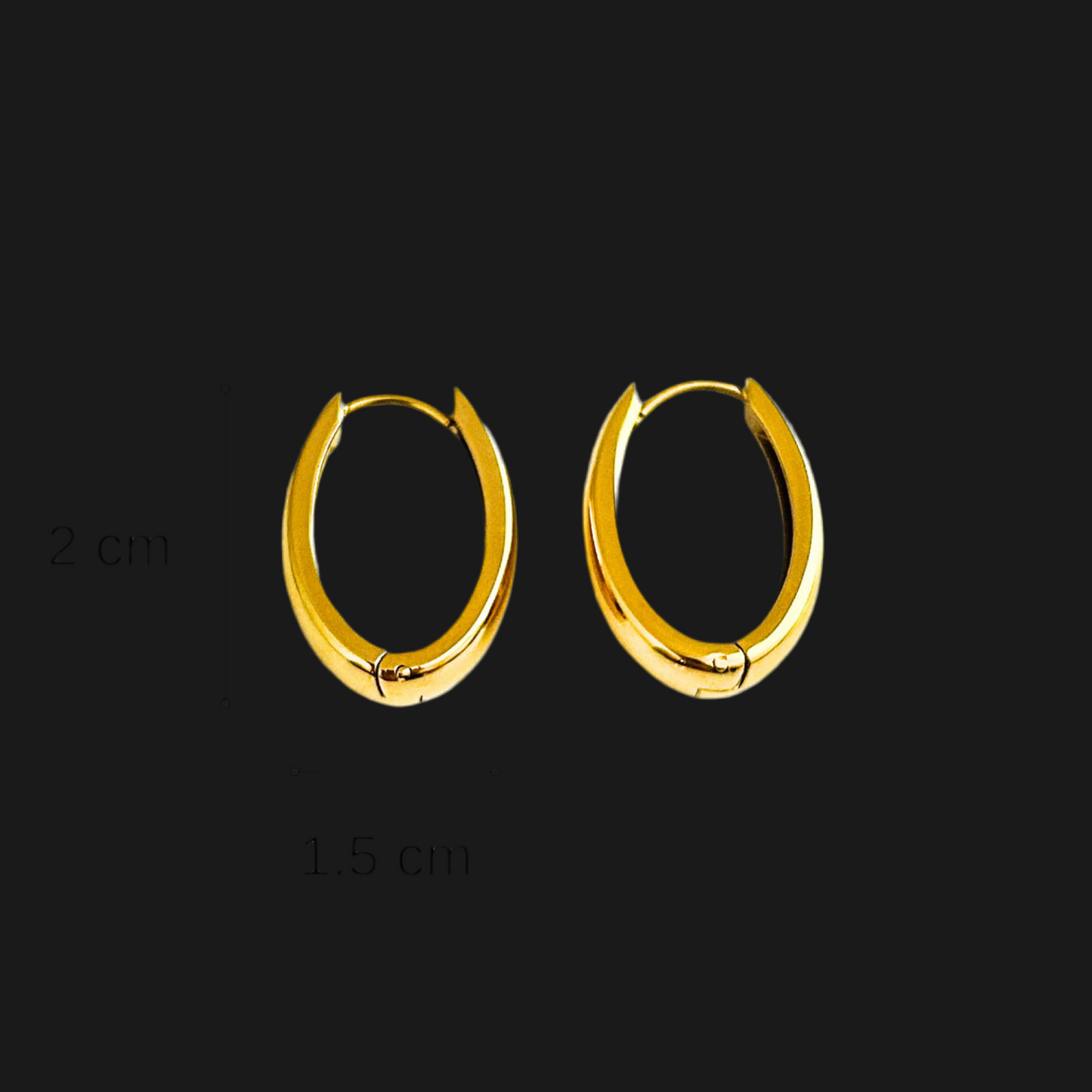 Classic Stainless Steel Hoop Earrings – 18K Gold Plated, Durable and Stylish